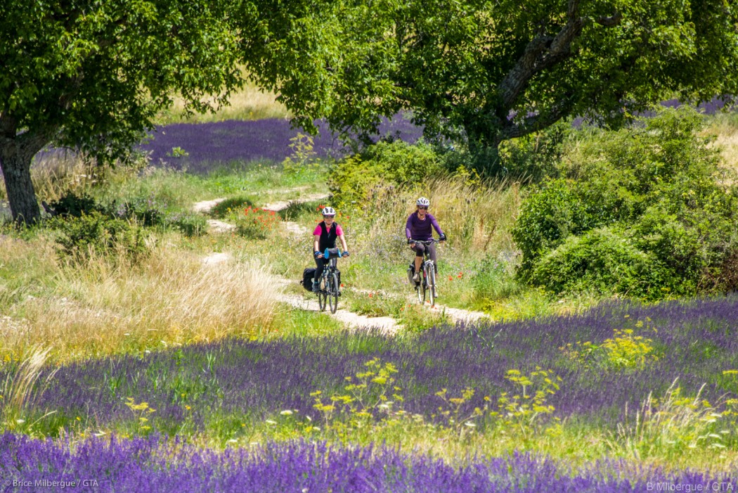gta-routes-lavande-velo-8036-1050x701.jpg