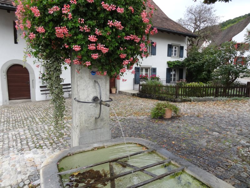 schwwhol_194.jpg